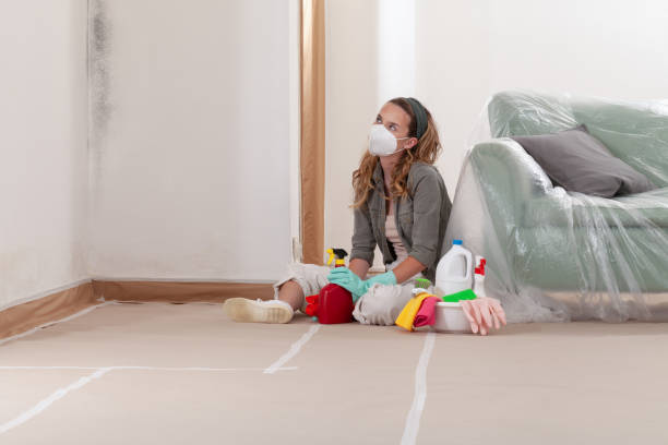 Reliable Commercial Mold Remediation contractor in Sequim, WA by Car Mold Remediation